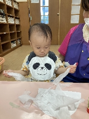 めだか組だより☆彡